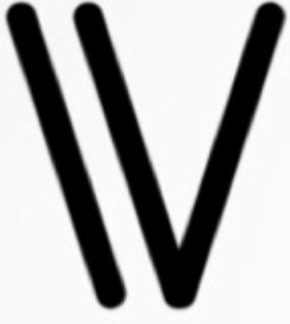 VinnyPalumbo